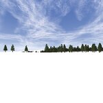 Snowy field_AP-0.jpg