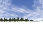 Snowy field_AP-1.jpg