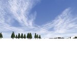 Snowy field_AP-2.jpg