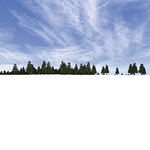 Snowy field_AP-3.jpg