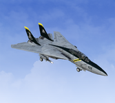 F-14 Tomcat-0.png