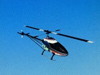 IMG_1859.jpeg