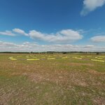 Sod Farm heli cones and curbs dirt_AP-1.jpg