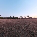 Rosendal Park Sunset_PI-1.jpg