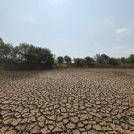 Dry Cracked Lake Bed_PI-2.jpg