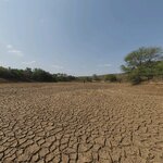 Dry Cracked Lake Bed_PI-3.jpg