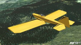 Bambina Yellow 02.jpg