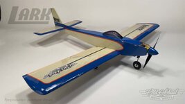 lark-3.jpg lark-3.jpg