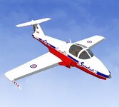 Snowbirds_01-0.jpg