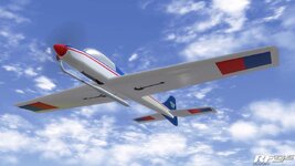 Dirty Birdy Blue White Red 02.jpg