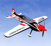 Pilot RC Sbach-0.jpg