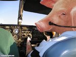When-Pigs-Fly--16147.jpg