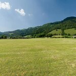 Alpine Meadow II_AP-0.jpg