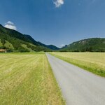 Alpine Meadow II_AP-1.jpg