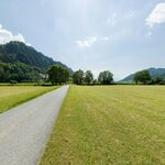 Alpine Meadow II_AP-3.jpg
