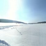 Snowy Field_PI-2.jpg