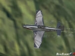 chrome bat p-51 2_xS5.jpg
