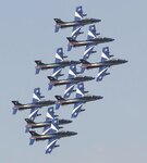 tcf-03_z44.jpg