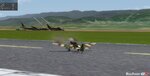 screenshot1263750143_439.jpg