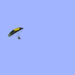 Powered Paraglider Gunner_LASER-0.jpg