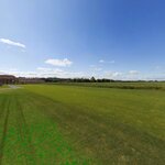 Grass Field_AP-1.jpg
