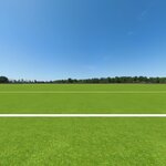 Nice Grass Field_AP-1.jpg