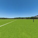 Nice Grass Field_AP-2.jpg