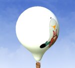 Hot Air Balloon-0.jpg