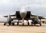 mcdonnell_douglas_f-15c_with_the_conformal_fast_pack_fuel_tanks_060905-f-1234s-017_ic6.jpg