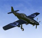 P-51 Mustang-0.jpg