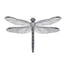 Dragonfly/51